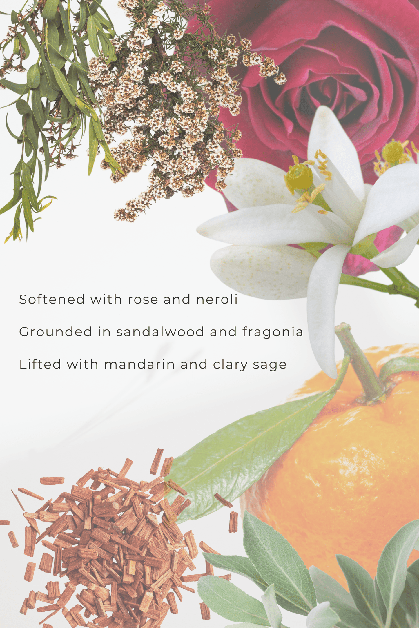 GRACE - VOUS Contemporary Clothing